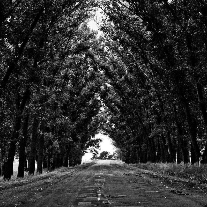 Cajón de frutas y verduras variadas